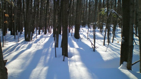 1st snow shoe #2.jpg