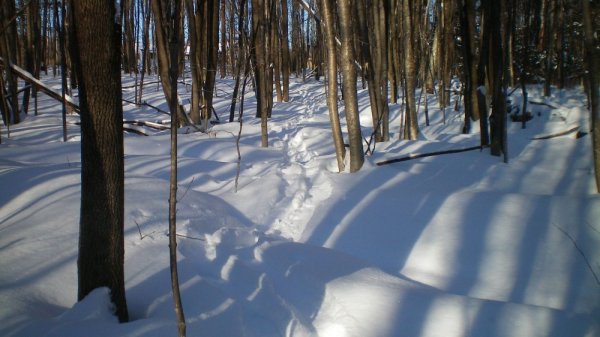 1st snow shoe #1.jpg