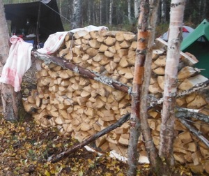 moose:wood.JPG