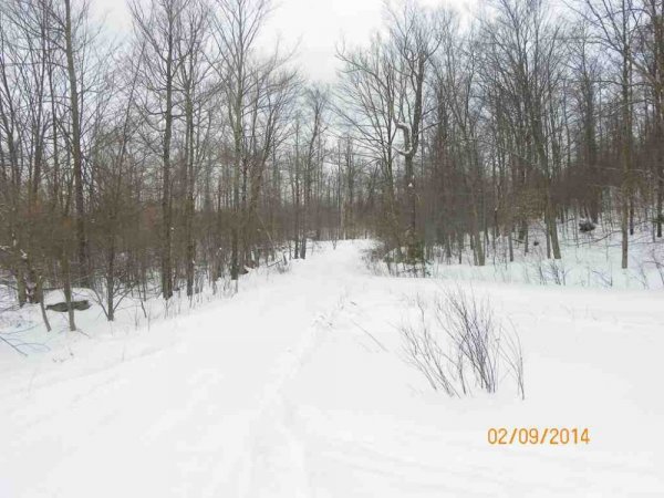 100_8567.JPG