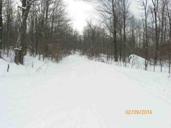 100_8568.JPG