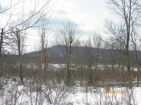 100_8571.JPG