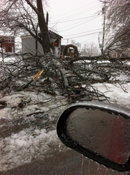 ice storm.jpg