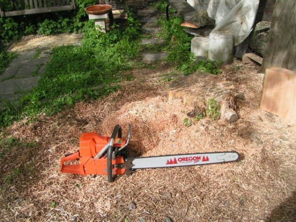 husky 288xpw black cherry shavings april 2012.jpg