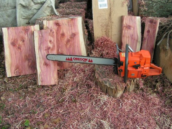 Eastern Red Cedar 11-19-2012 Husky 288XPW.jpg