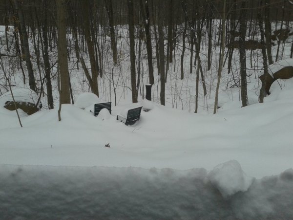 20140213_130455.jpg