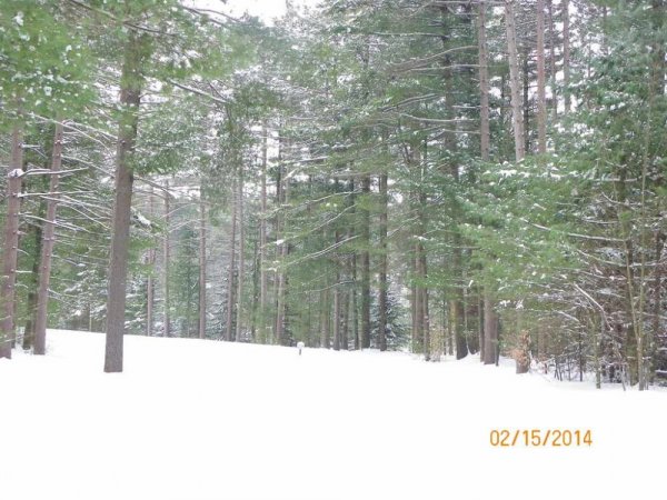 100_8590.JPG