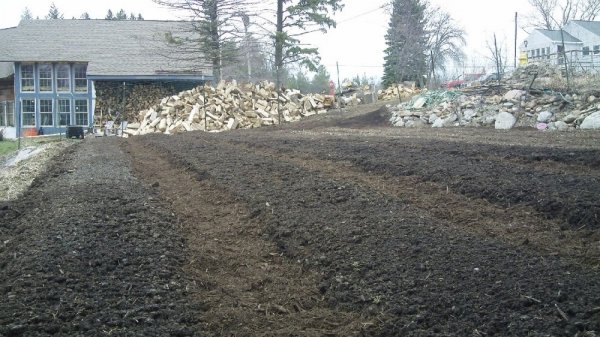 041011 top terrace garden.jpg