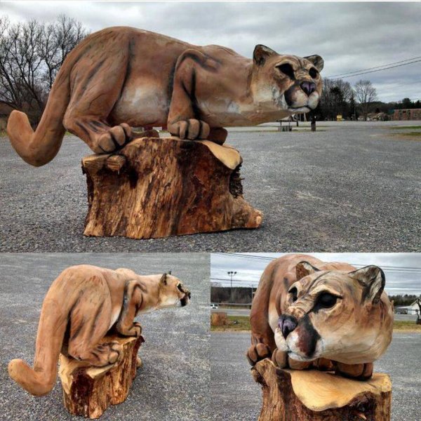 Wood cat.jpg