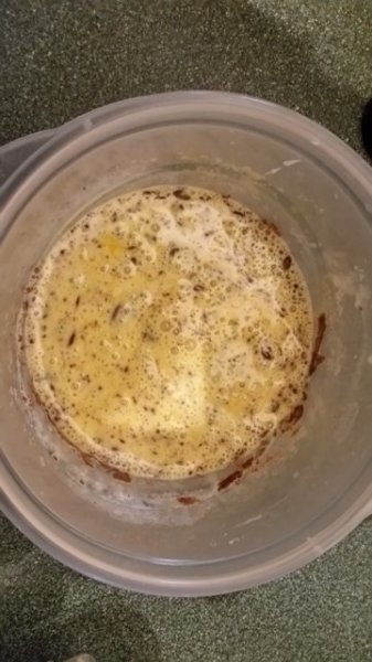 eggs, cream and cinnamon whipped up.jpg