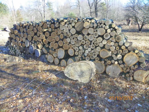 Splitting pile 2012.JPG