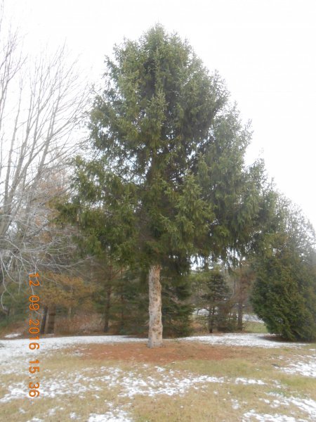 DSCN1281.JPG