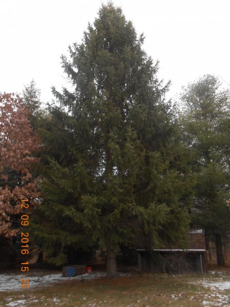 DSCN1279.JPG