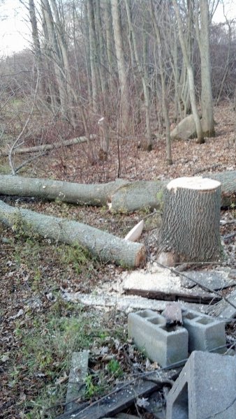 2012-11-12_09-03-16_101.jpg