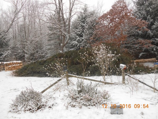 DSCN1288.JPG