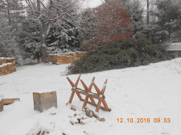 DSCN1287.JPG