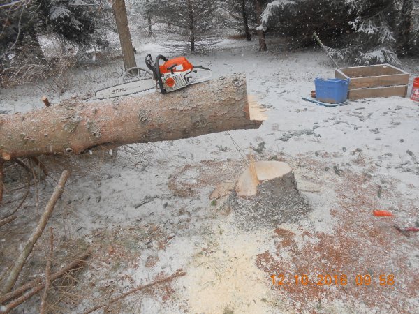 DSCN1289.JPG