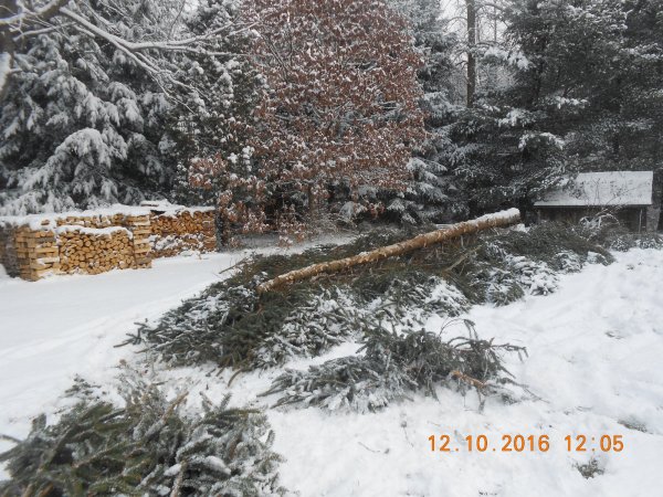 DSCN1295.JPG