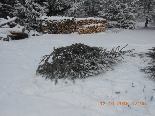 DSCN1294.JPG