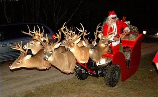 Sleigh.jpg