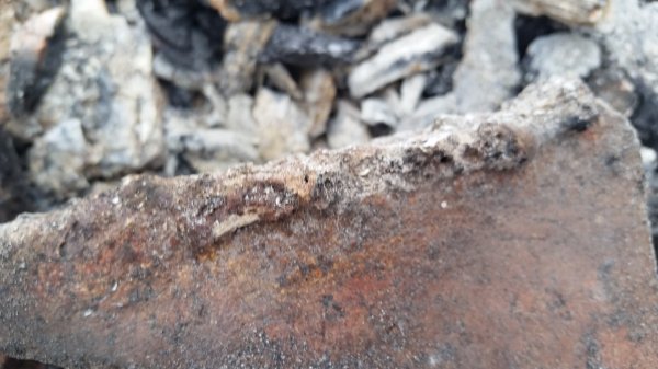 20161218_092449.jpg