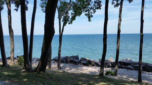 20160809_125933 resized.jpg