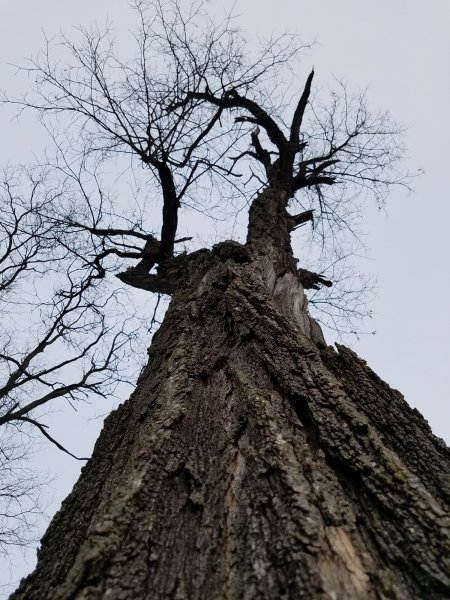 20161223_161007 resized.jpg