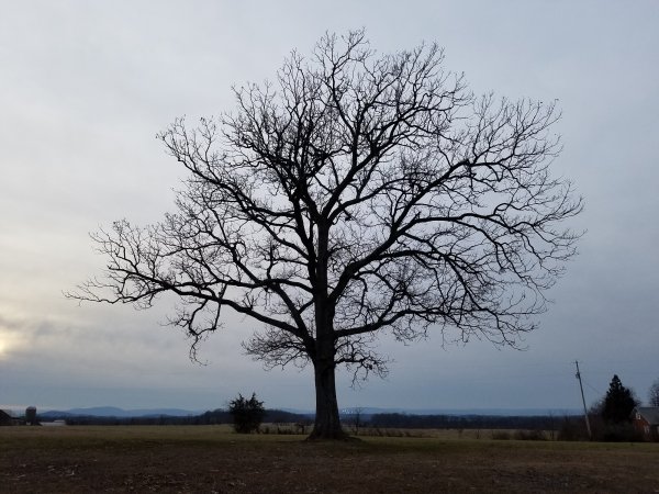 20161223_160732 resized.jpg