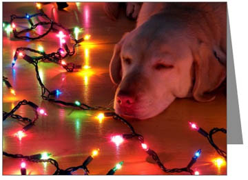 yellow-lab-christmas3.jpg