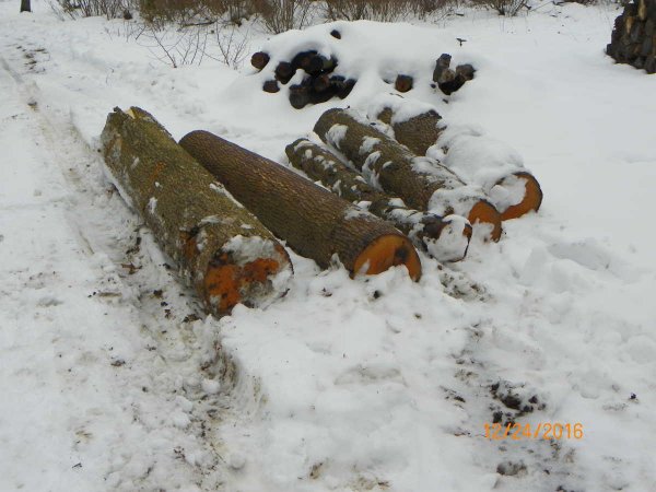 Logs-12-2016.JPG
