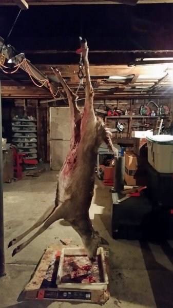 20161230_192846.jpg