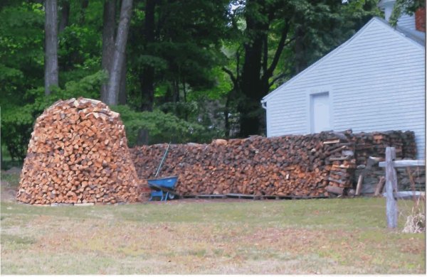 wood.jpg