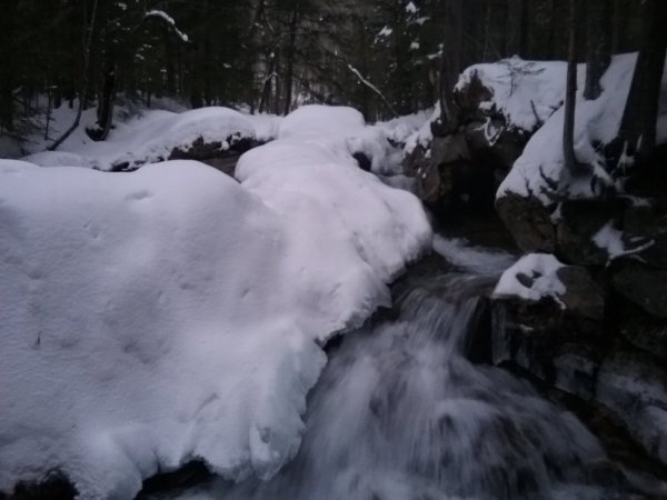20170101_161915.jpg