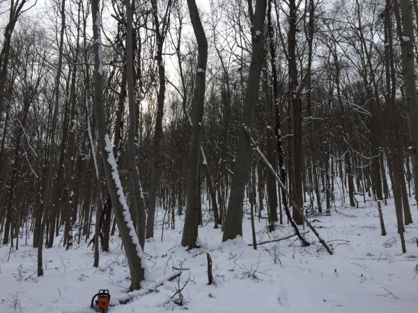 IMG_4163.JPG