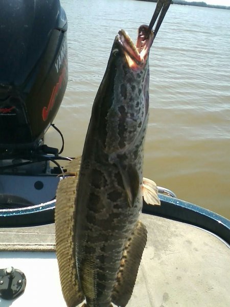 2014-05-26 17.03.47.jpg