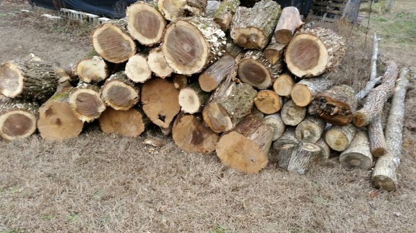 20170115_134148_resized.jpg