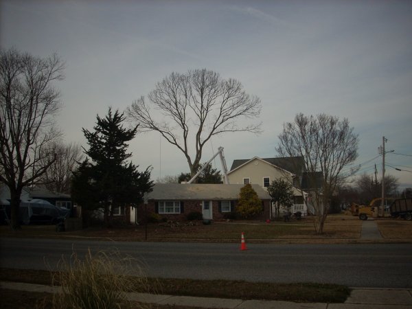 DSCN2320.JPG