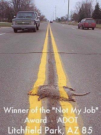 Not my job award.jpg