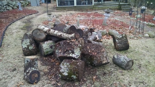 IMG_20170121_111329632.jpg