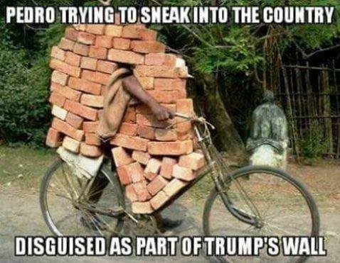trump wall disguise.jpg