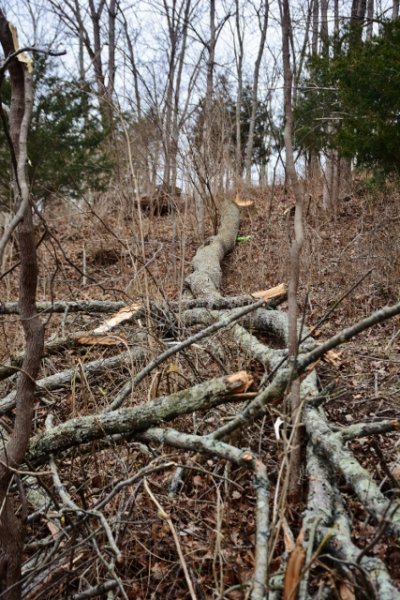 DSC_9455 (427x640).jpg