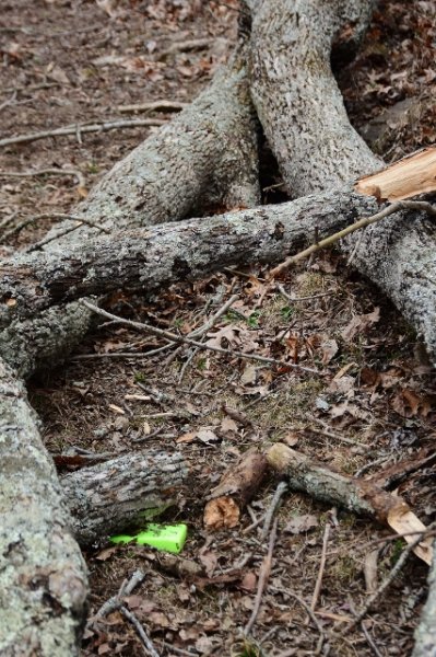 DSC_9457 (426x640).jpg