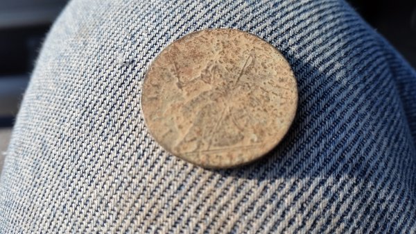 20161119_114449 resized.jpg