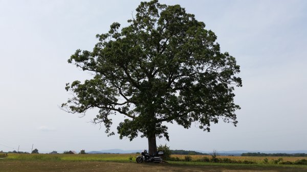 20150830_123747 resized.jpg