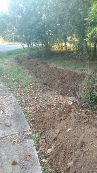 IMG_20161003_183153798.jpg