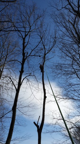 20170211_144636.jpg