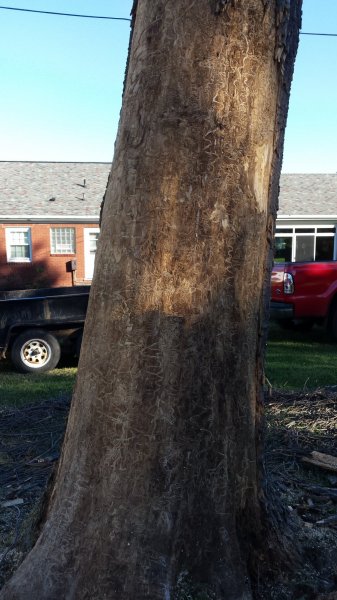 20160927_170348.jpg