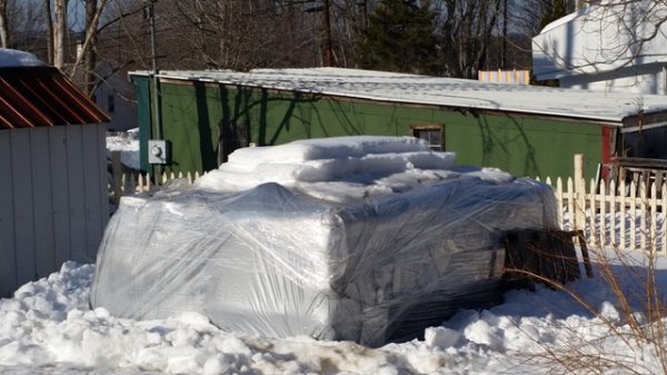 Snow scraped from pellet pile.jpg