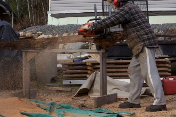 Dolmar 7900 sawing.jpg