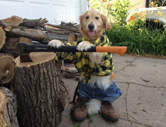 No-Idea-What-Im-Doing-Dog-Log-Chopping-Axe-545x418.jpg